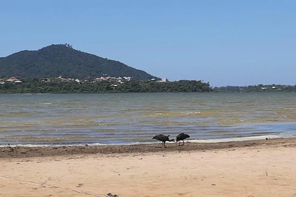 Prázdninový dům Kitnet Albatroz Hospedaria- Lagoa Da Ibiraquera Imbituba